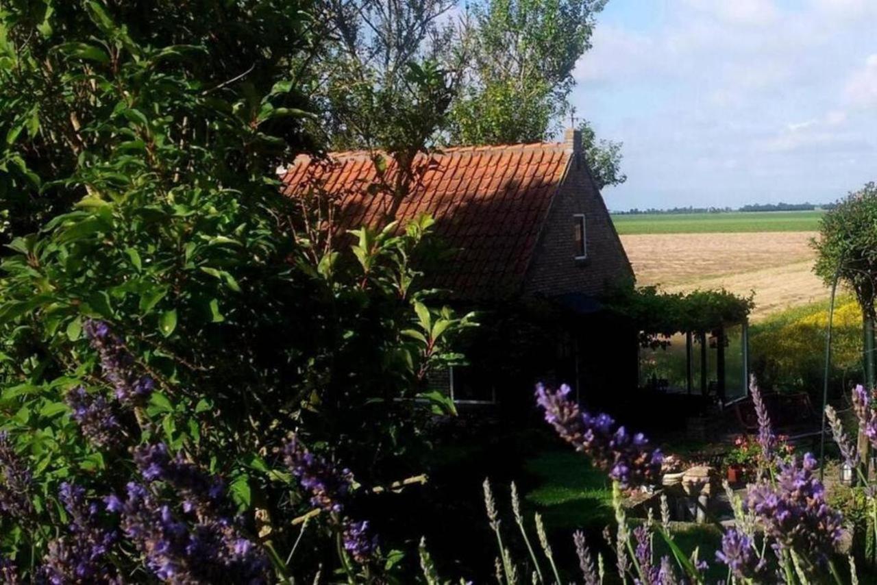 The Cottage - 2 Persoons Cottage Nabij Strand En Meer Zonnemaire Exterior photo